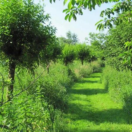 Pensión Gaestezimmer Im Engelshof, 61224 3*